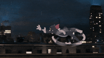 Tom The Cat Lol GIF by Tom & Jerry
