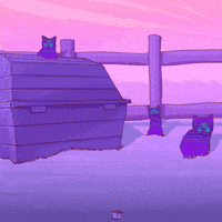 cats psychedelics GIF by Phazed