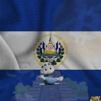 El Salvador Bukele GIF by Zhot