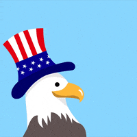 Independence Day Celebration GIF by Jessica Lau Independence Day Celebration GIF by Jessica Lau