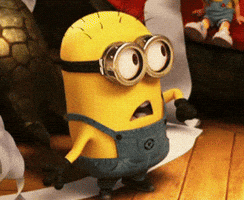 Despicable Me What GIF Despicable Me What GIF
