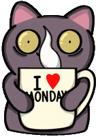 Monday Morning Cat GIF