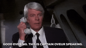 Peter Graves airplane GIF Peter Graves airplane GIF