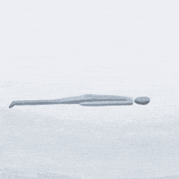 Animation Loop GIF by Pierre-Julien Fieux