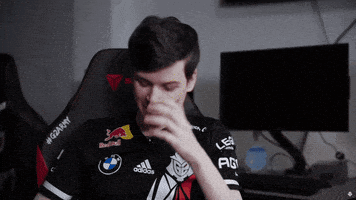 No Way Facepalm GIF by G2 Esports