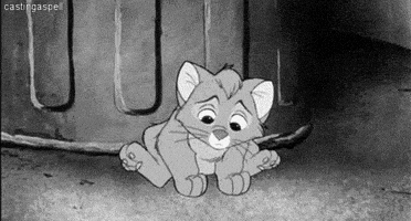 sad cat GIF