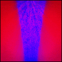 pink glow GIF by Erica Anderson