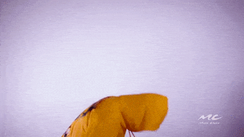 Lets Go Reaction GIF by Music Choice