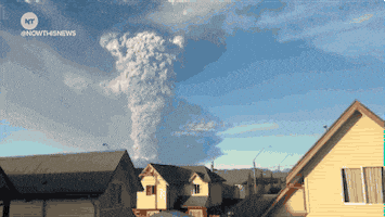 world news GIF by NowThis 