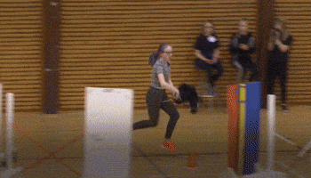 horse finland GIF horse finland GIF