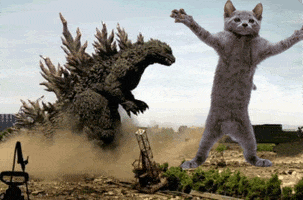 power rangers cat GIF power rangers cat GIF