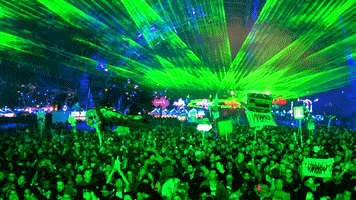 music festival dance GIF by Insomniac Events music festival dance GIF by Insomniac Events