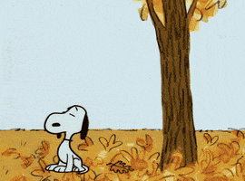 Its The Great Pumpkin Charlie Brown Fall GIF Its The Great Pumpkin Charlie Brown Fall GIF