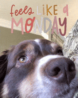 Tired Waking Up GIF by Yevbel