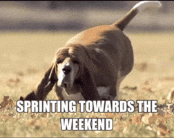 Friday Weekend GIF by Marie Claire Friday Weekend GIF by Marie Claire