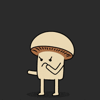 dance dancing GIF by mushroommovie dance dancing GIF by mushroommovie