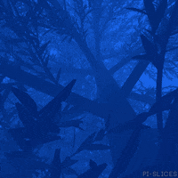 Loop 3D GIF by Pi-Slices