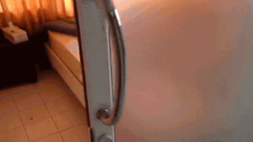 cats bed GIF cats bed GIF