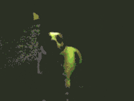 pop rave GIF pop rave GIF
