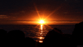 sunset waves GIF by Living Stills