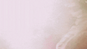 Love And Hip Hop Reality Tv GIF by VH1