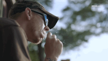 viceland GIF by WEEDIQUETTE