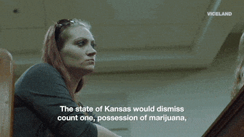 viceland GIF by WEEDIQUETTE