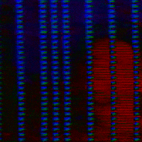 music video television GIF