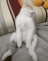 Tired Mood GIF by JustViral