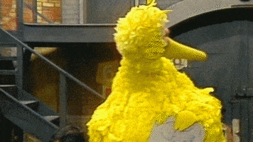 Sesame Street Muppets GIF by ABC Network