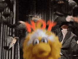 Sesame Street Fire GIF by Bell Brothers