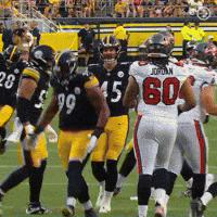 Excited Celebration GIF by Pittsburgh Steelers