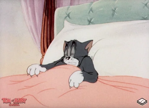 Wake Up Yawn GIF
