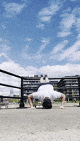 Gym Push Up GIF by Casol