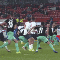 Frustrated Three Lions GIF by England