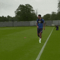 Three Lions Smile GIF by England