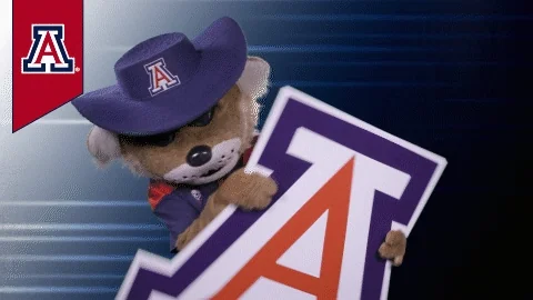 University Of Arizona GIF