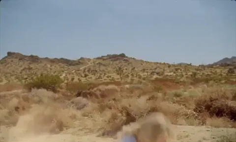 Hitch Hike Manchild GIF
