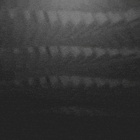 animation 3d GIF by Morena Daniela