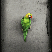 animation art GIF by umairanwar