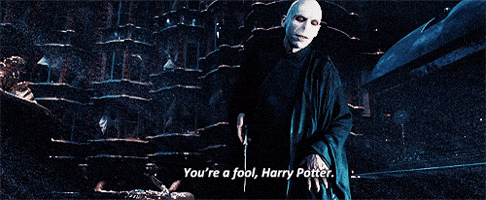 harry potter fool GIF