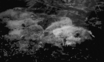 art horror GIF by hoppip