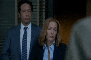 x files GIF by The X-Files