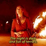 Game Of Thrones I Ship Dany And Jorah Forever And Theres Nothing You Can Say That Will Stop Me GIF