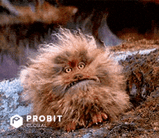 Meme Reaction GIF by ProBit Global