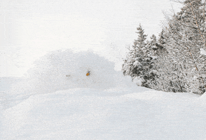 Ski Resort GIF by Sunday River