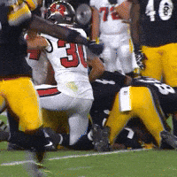 Excited Celebration GIF by Pittsburgh Steelers