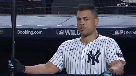 New York Yankees Sport GIF