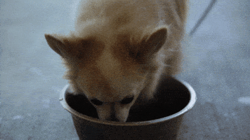 nicki minaj kissing strangers GIF by DNCE