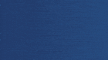 Champions Believe GIF by Mumbai Indians